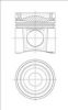 NüRAL 87-428900-00 Piston